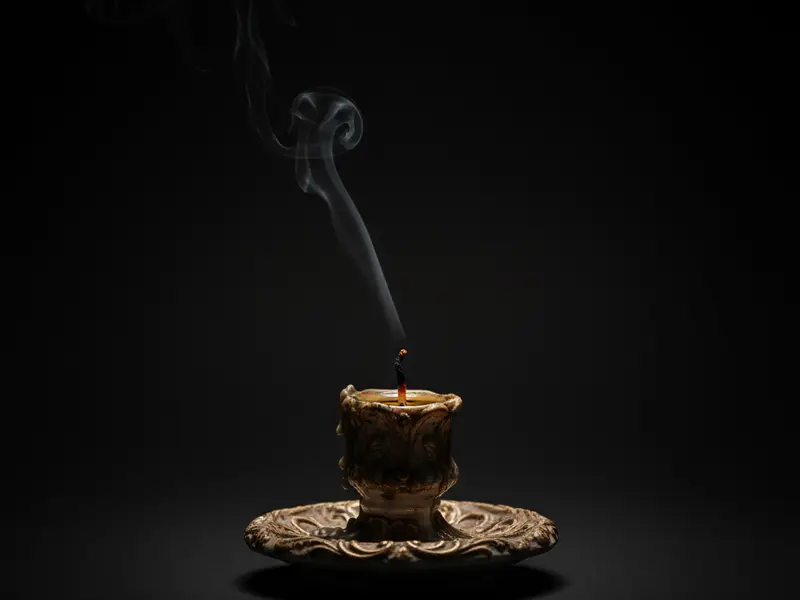 Das Verlöschen — cover art