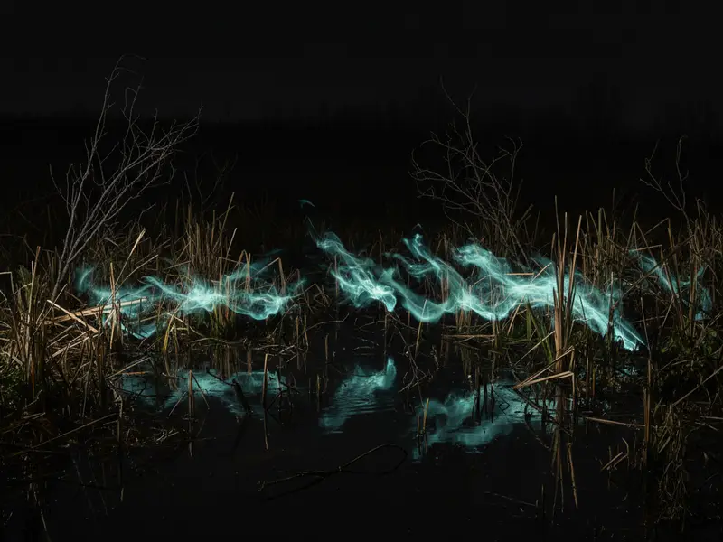 Foxfire — cover art